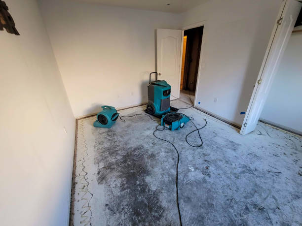 Best Water damage restoration near me  in Rio Rancho Estates, NM