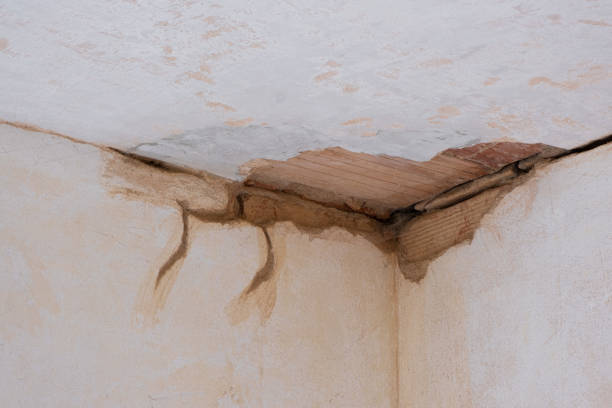 Best Flooded house restoration  in Rio Rancho Estates, NM